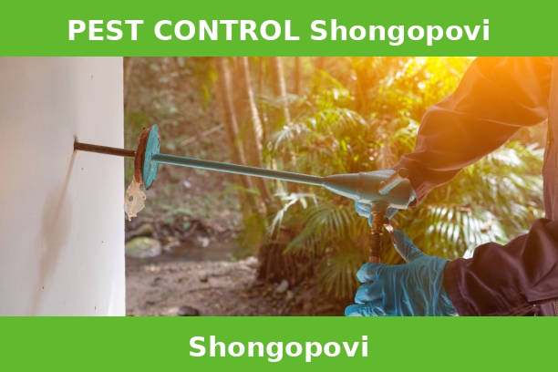 PEST CONTROL Shongopovi